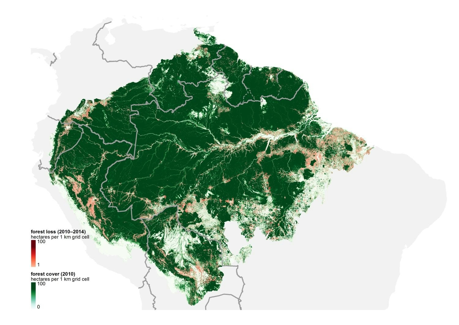 Deforestation Of the Amazon