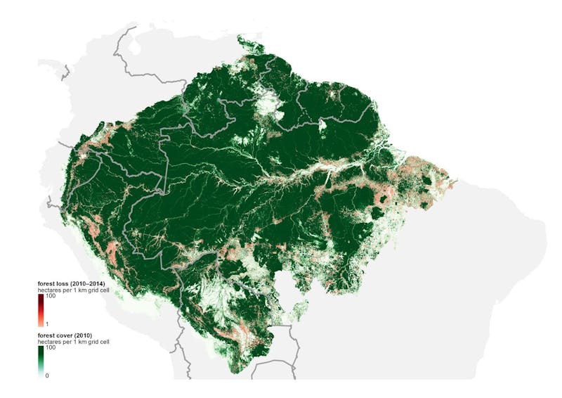 These 7 Maps Shed Light On Most Crucial Areas Of Amazon Rainforest