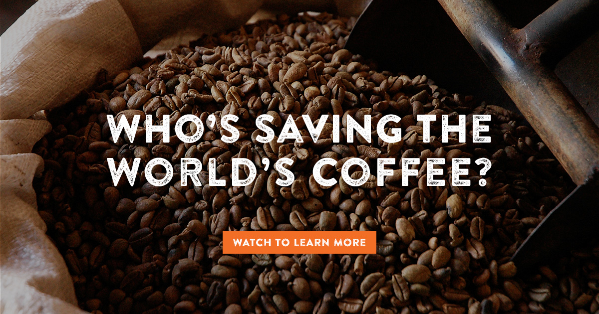 Sustainable Coffee Challenge