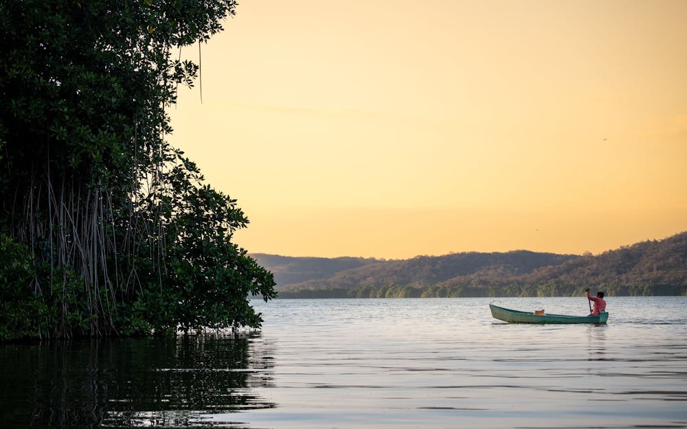 /images/default-source/headshots/costa-oaxaca.jpg?sfvrsn=9ff1b770_1/