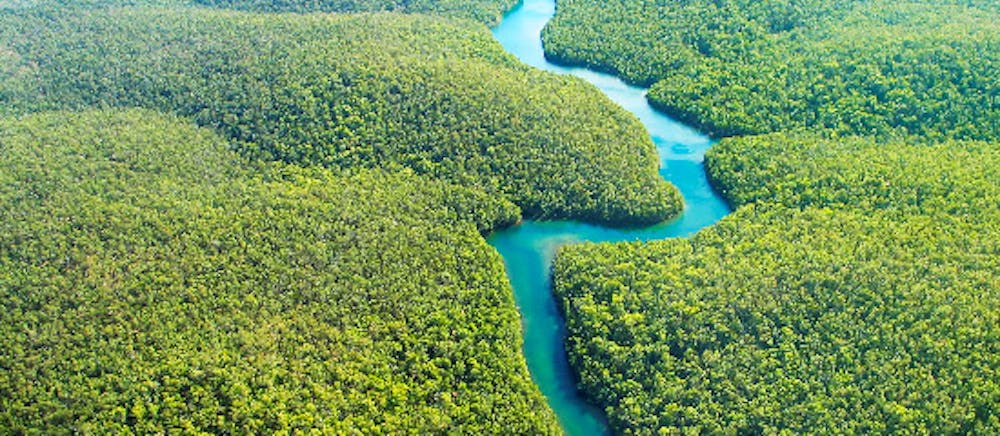 /images/default-source/nature-is-speaking-2/amazonia_carousel.jpg?sfvrsn=b49a0a7f_14