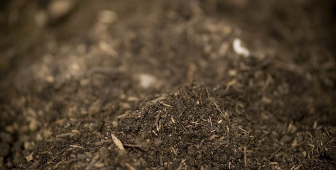 Composted garden soil