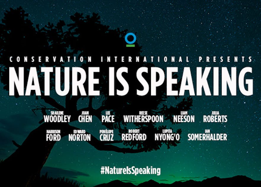 Meet Voices of Nature Is Speaking