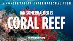 Ian Somerhalder is Coral Reef
