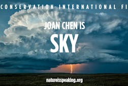 Joan Chen is Sky
