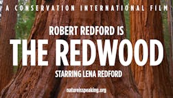 Robert Redford is The Redwood, Starring Lena Redford