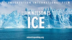 Liam Neeson is Ice