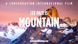 Lee Pace is Mountain