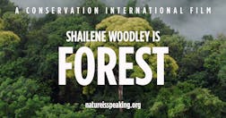 Shailene Woodley is Forest