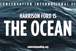 Harrison Ford is The Ocean