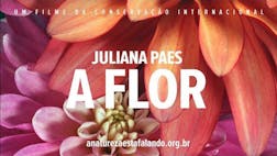 Juliana Paes A Flor