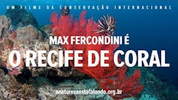 Max Fercondini é O Recife de Coral
