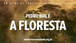 Pedro Bial é A Floresta
