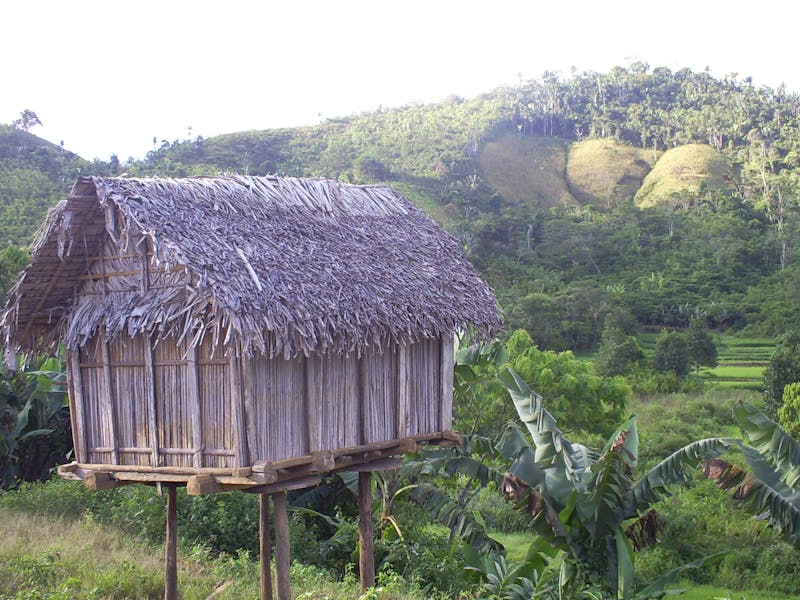 A family granary in the heavily forested Ankeniheny-Zahamena Corridor of Madagascar.
