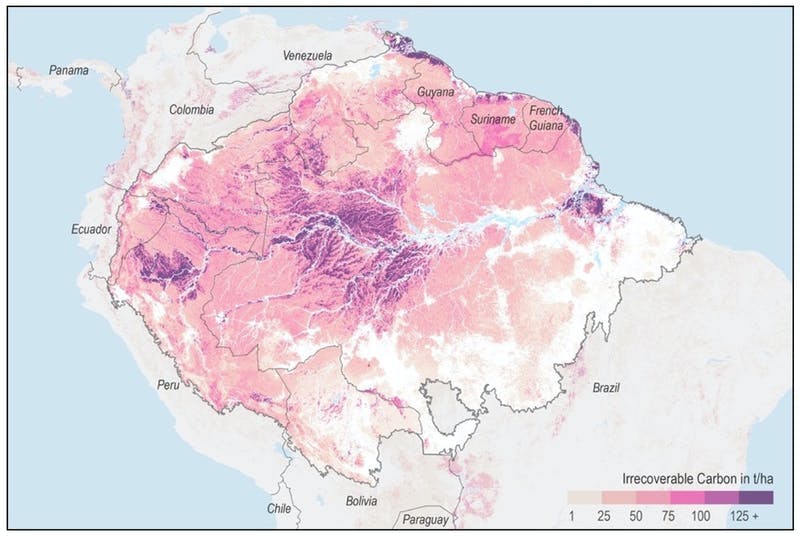 amazon-map-border