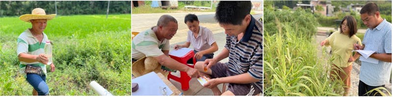 In Lixi Village, community members regularly monitor water quality at the constructed wetlands and oversee the health of the vegetation.