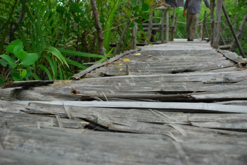 Silonay Mangrove Ecopark in Oriental Mindoro, Philippines