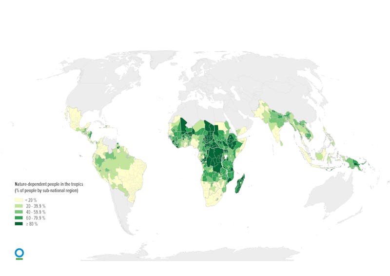 Reparation mulig Regelmæssighed større New map pinpoints where people depend on nature the most