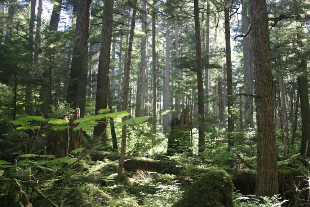 /images/default-source/non-vault-images/tongass_national_forest_juneau.jpg?sfvrsn=10f27db4_4