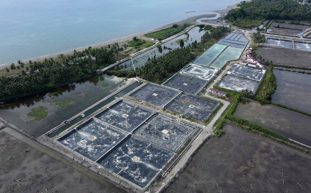 https://www.conservation.org/images/default-source/non-vault-images/vannamei-shrimp-aquaculture-pond-in-lalombi-photo-by-konservasi-indonesia_eko-siswono-toyudho_-(3).jpg?sfvrsn=75b62a1c_7/