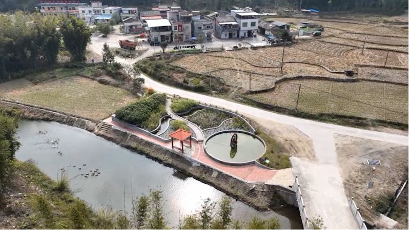 Wetlands in Xiadong Village were restored with local plants to filter wastewater.