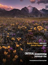 https://ciorg.imgix.net/images/default-source/publication-preview-images/cepf_impact_and_annual_report_2021_covershot?&auto=compress&auto=format&fit=crop
