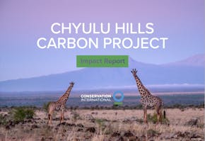 https://ciorg.imgix.net/images/default-source/publication-preview-images/chyulu-hills-impact-report-2024?&auto=compress&auto=format&fit=crop&w=290&h=215