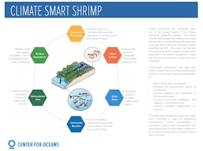 https://ciorg.imgix.net/images/default-source/publication-preview-images/climate-smart-shrimp-cover?&auto=compress&auto=format&fit=crop&w=290&h=215