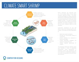 https://ciorg.imgix.net/images/default-source/publication-preview-images/climate-smart-shrimp-cover?&auto=compress&auto=format&fit=crop&w=290&h=215