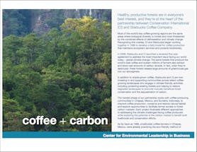 https://ciorg.imgix.net/images/default-source/publication-preview-images/coffee-carbon-fact-sheet?&auto=compress&auto=format&fit=crop&w=290&h=215
