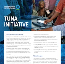 https://ciorg.imgix.net/images/default-source/publication-preview-images/conservation-international's-tuna-initiative?&auto=compress&auto=format&fit=crop&w=290&h=215