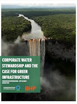 https://ciorg.imgix.net/images/default-source/publication-preview-images/corporate-water-stewardship_thumbnail?&auto=compress&auto=format&fit=crop