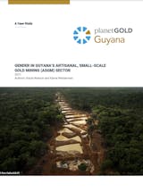 https://ciorg.imgix.net/images/default-source/publication-preview-images/gender-in-guyanas-artisanal-small-scale-gold-mining-sector?&auto=compress&auto=format&fit=crop