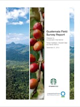 https://ciorg.imgix.net/images/default-source/publication-preview-images/guatemala-field-survey-report?&auto=compress&auto=format&fit=crop