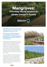 https://ciorg.imgix.net/images/default-source/publication-preview-images/mangroves-unlocking-natural-solutions-to-climate-change-in-guyana-cover?&auto=compress&auto=format&fit=crop