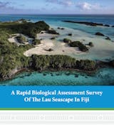 https://ciorg.imgix.net/images/default-source/publication-preview-images/screenshot-lau-seascape-rapid-biological-assessment-survey?&auto=compress&auto=format&fit=crop