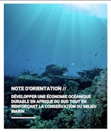 https://ciorg.imgix.net/images/default-source/publication-preview-images/sustainable-oceans-economy-policy-brief-french?&auto=compress&auto=format&fit=crop