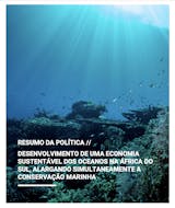 https://ciorg.imgix.net/images/default-source/publication-preview-images/sustainable-oceans-economy-policy-brief-portuguese?&auto=compress&auto=format&fit=crop