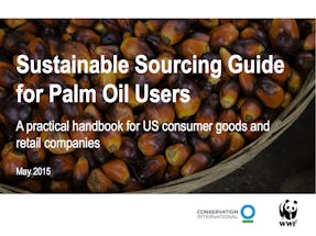 https://ciorg.imgix.net/images/default-source/publication-preview-images/sustainable-sourcing-guide-for-palm-oil-users-thumbnail?&auto=compress&auto=format&fit=crop&w=290&h=215