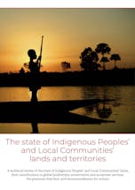 https://ciorg.imgix.net/images/default-source/publication-preview-images/the-state-of-the-indigenous-peoples-and-local-communities-lands-and-territories-cover?&auto=compress&auto=format&fit=crop