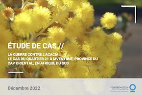 https://ciorg.imgix.net/images/default-source/publication-preview-images/war-on-wattle-french?&auto=compress&auto=format&fit=crop&w=290&h=215