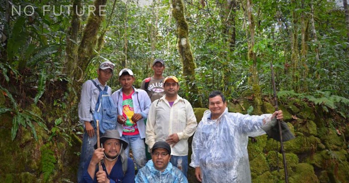 Bagaimana reruntuhan Inca dan kacang Brazil memerangi deforestasi di Bolivia