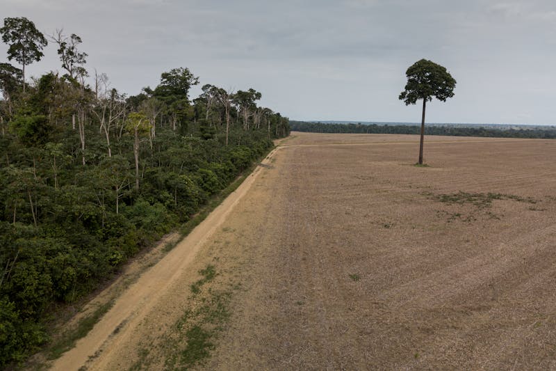 Deforestation in the Amazon to create farmland