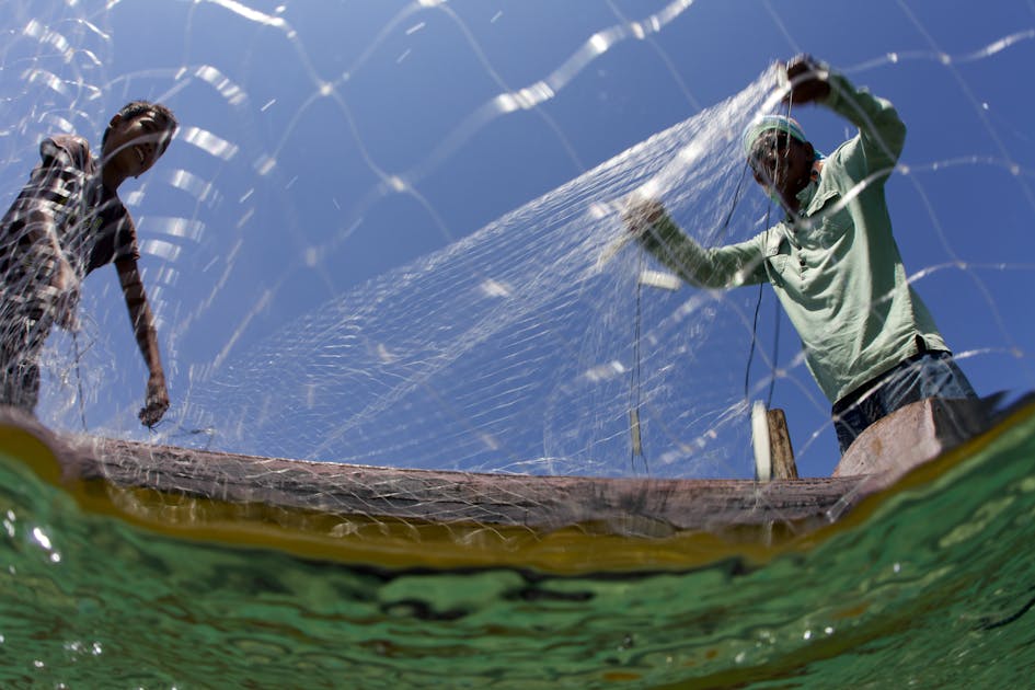 24 groups supporting sustainable fishing and reforming the