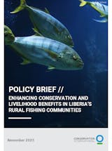https://ciorg.imgix.net/images/default-source/temp/liberia-nbs-policy-brief-fishing-(eng)?&auto=compress&auto=format&fit=crop