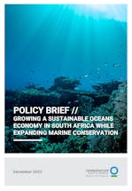 https://ciorg.imgix.net/images/default-source/temp/oceans-policy-brief?&auto=compress&auto=format&fit=crop