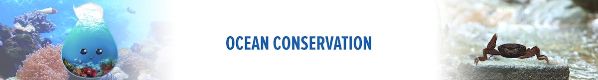 Ocean Conservation Series